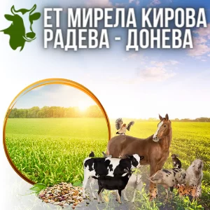 baner-et-mirela-kirova-radeva-doneva-advertise-partners