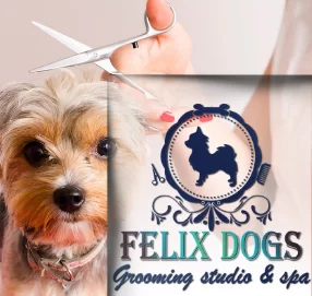 baner-felix-dogs-grooming-studio-and-spa-advertise-partners